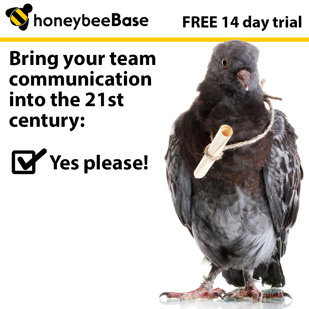 Unlocking the honeybeeBase Potential: Team Alerts